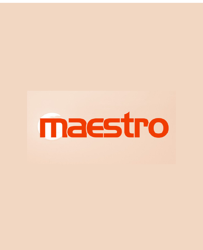 Logo & Branding 04